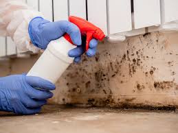 Professional Mold Removal in West Menlo Park, CA